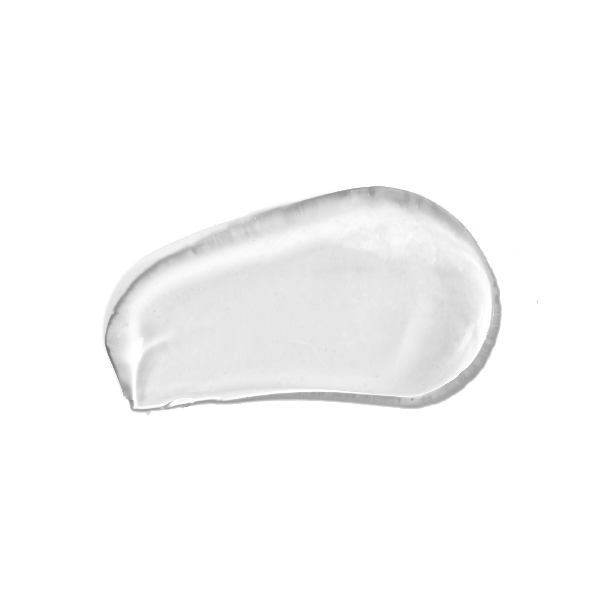 Une seule feuille verte sur fond blanc.